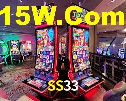 Premium Interface SS33