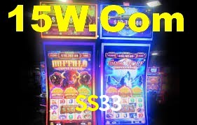 SS33 App Interface