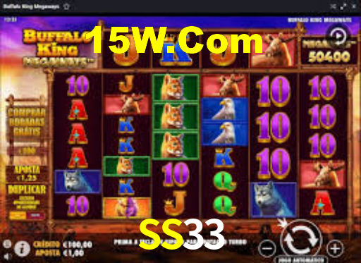 SS33